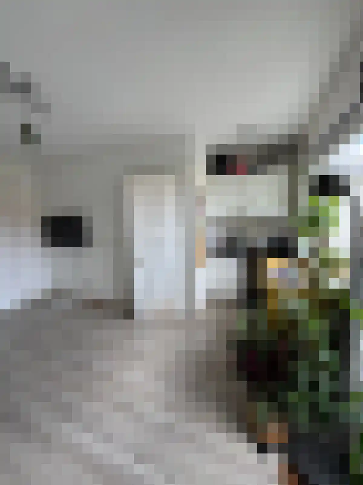 Zandvoortselaan Heemstede thumbnail 5