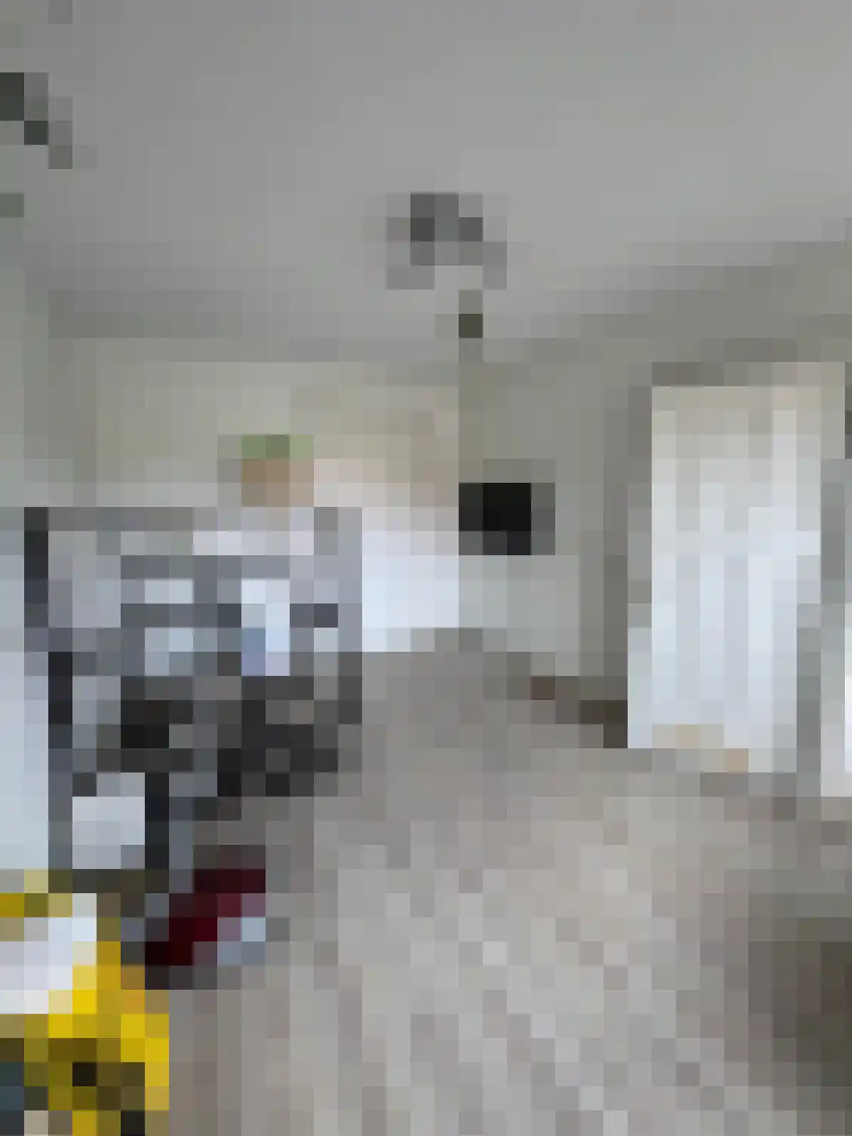 Zandvoortselaan Heemstede thumbnail 6