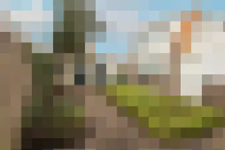 Zandvoortsestraat 37 Noordwijk thumbnail 13