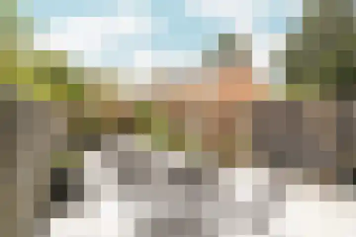 Zandvoortstraat 13 Arnhem thumbnail 35