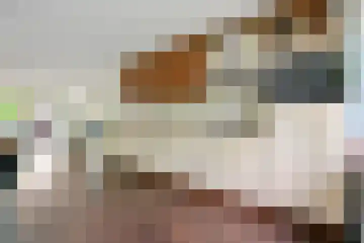 Zandvoortstraat 2 Amsterdam thumbnail 4