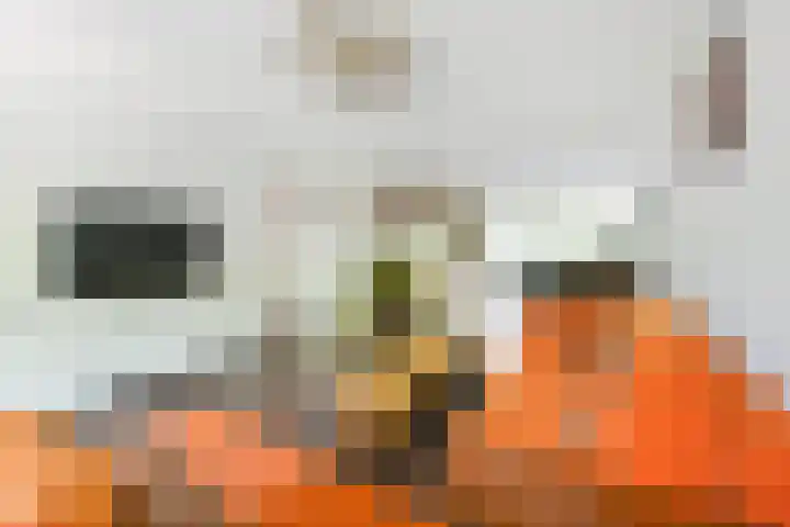Zandvoortstraat 2 Amsterdam thumbnail 5
