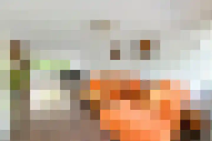 Zandvoortstraat 2 Amsterdam thumbnail 8
