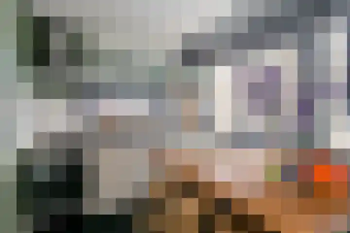 Zandvoortstraat 3 Amsterdam thumbnail 33