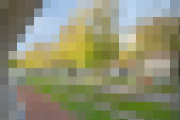 Zandvoortstraat 3 Amsterdam thumbnail 37