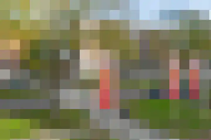 Zandvoortstraat 3 Amsterdam thumbnail 38