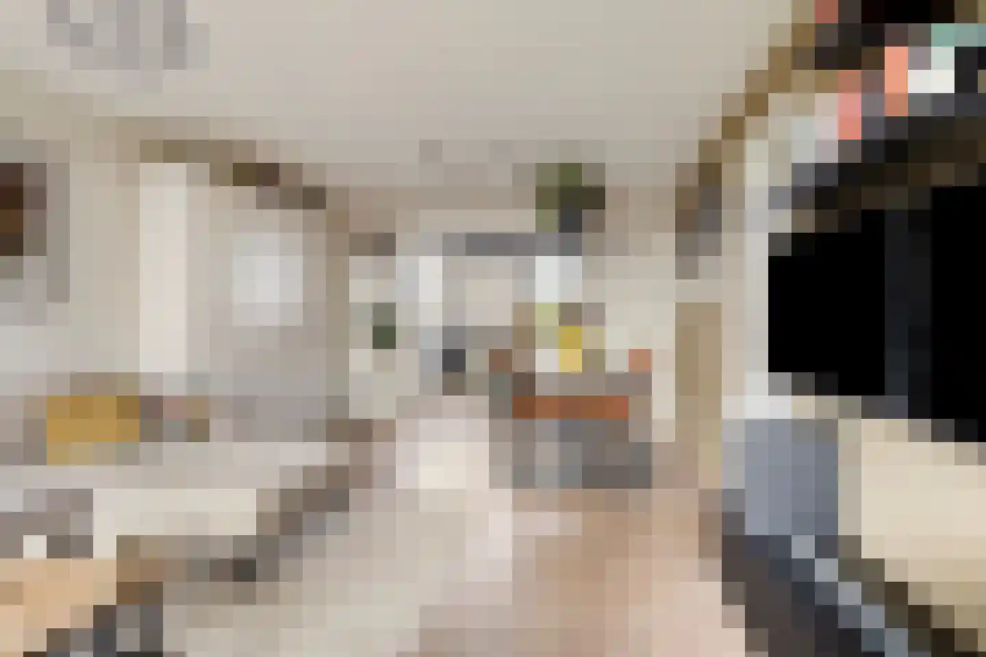 Zandvoortstraat 37 Amsterdam thumbnail 5