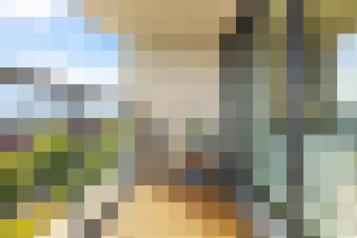 Zandvoortstraat 41 Amsterdam thumbnail 9