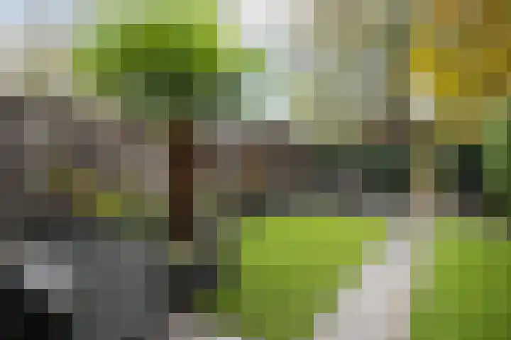 Zandvoortstraat 42 Arnhem thumbnail 20