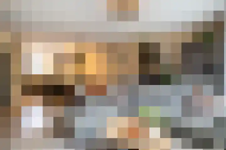 Zandvoortstraat 42 Arnhem thumbnail 5