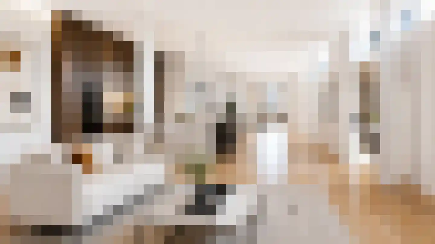 Zandvoortweg 11 Baarn thumbnail 5