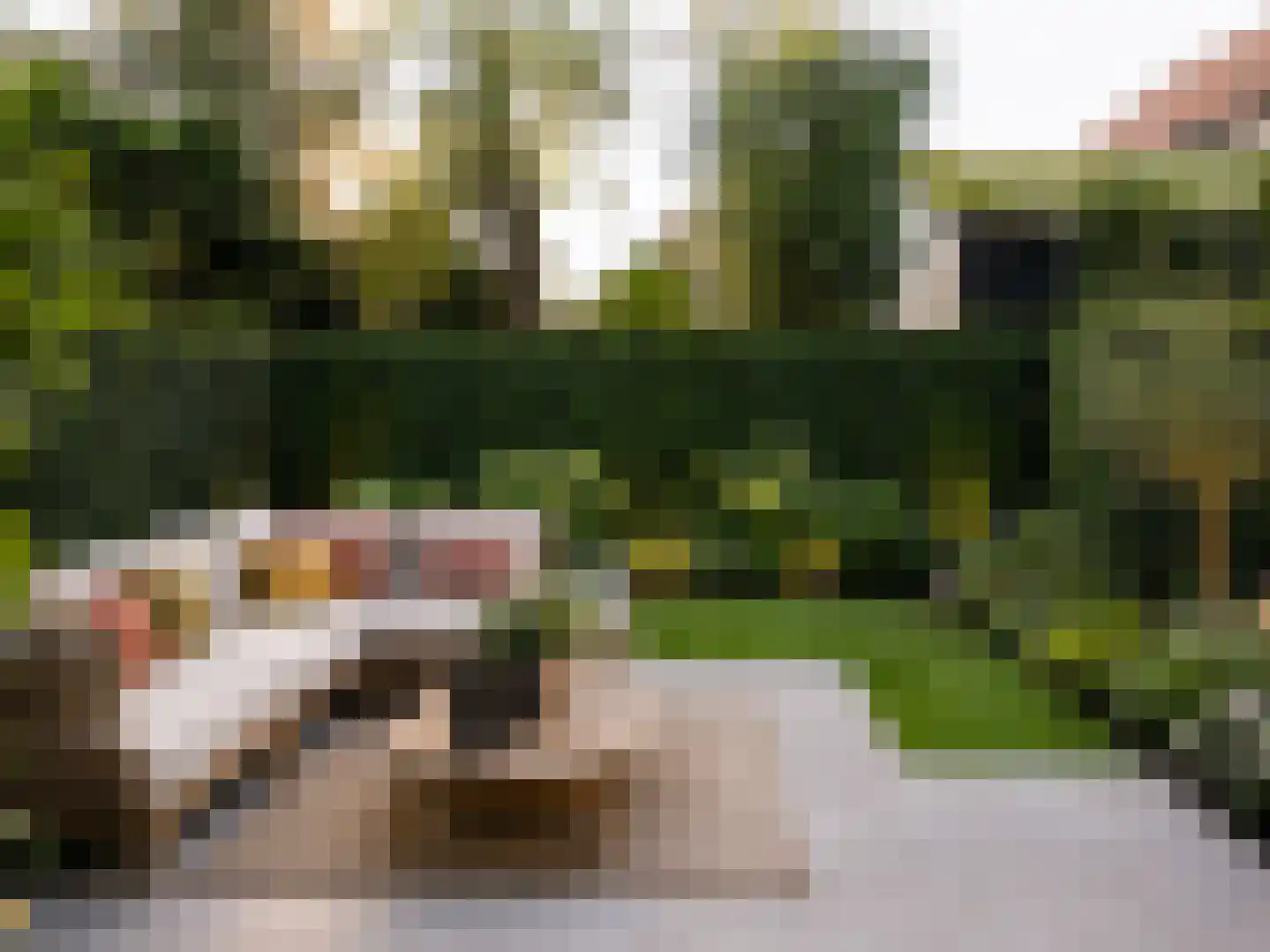 Zandvoortweg 11 Baarn thumbnail 6