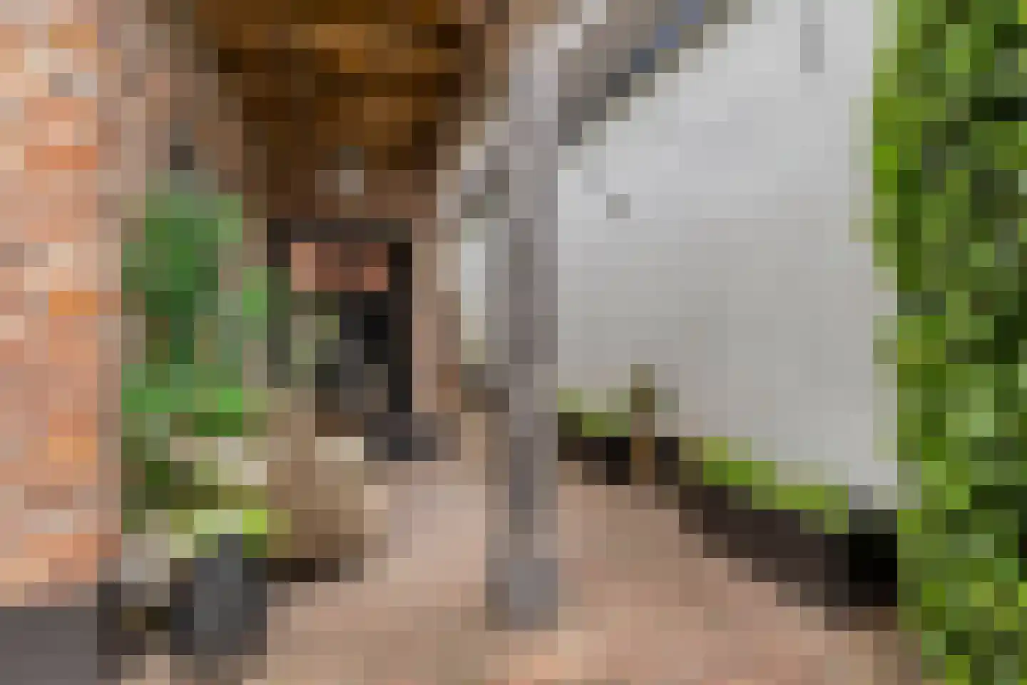 Zandvoortweg 131 Baarn thumbnail 33