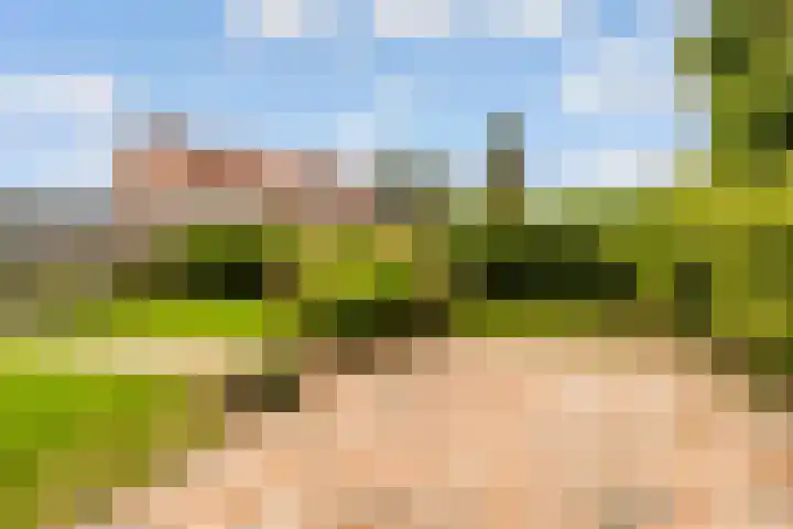 Zandvoortweg 144 A Baarn thumbnail 51