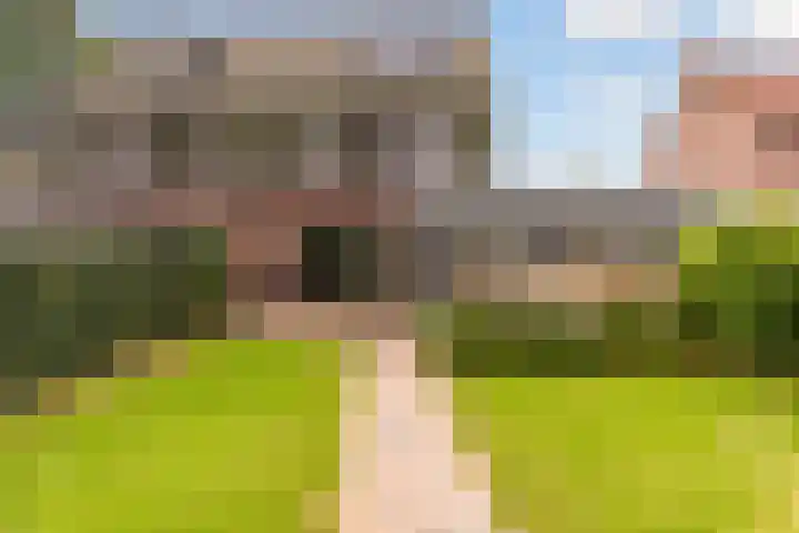 Zandvoortweg 144 A Baarn thumbnail 53