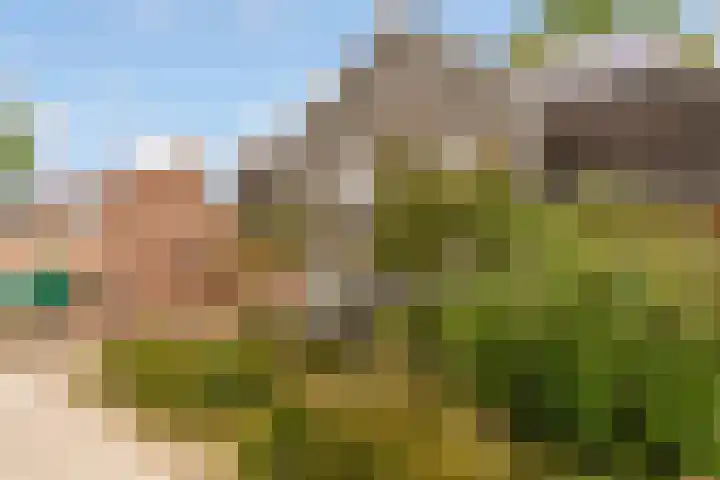 Zandvoortweg 144 A Baarn thumbnail 57