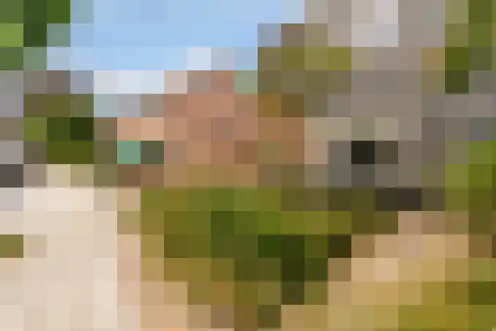 Zandvoortweg 144 A Baarn thumbnail 58