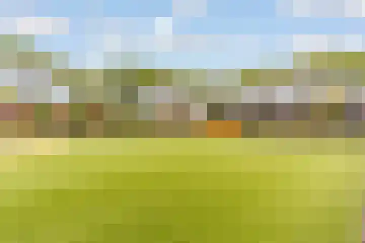Zandvoortweg 144 A Baarn thumbnail 63