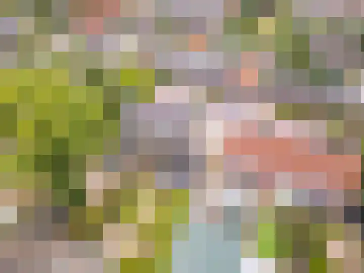 Zandvoortweg 144 A Baarn thumbnail 65