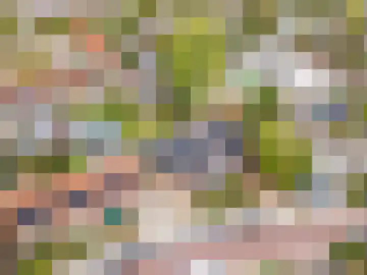 Zandvoortweg 144 A Baarn thumbnail 66