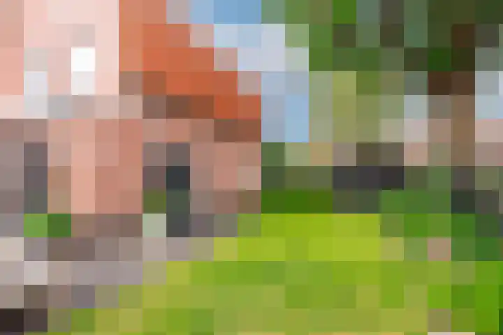 Zandvoortweg 189 Baarn thumbnail 25