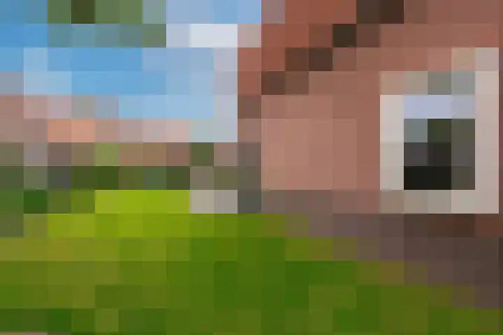 Zandvoortweg 189 Baarn thumbnail 26