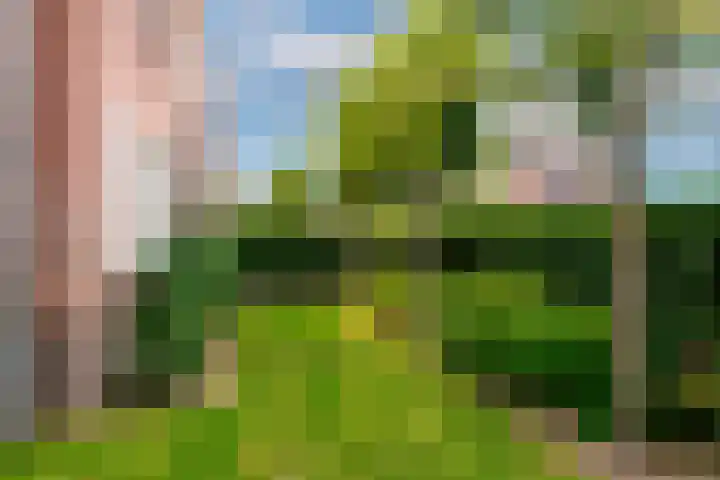Zandvoortweg 189 Baarn thumbnail 27