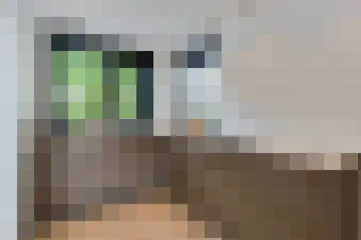 Zandvoortweg 189 Baarn thumbnail 8