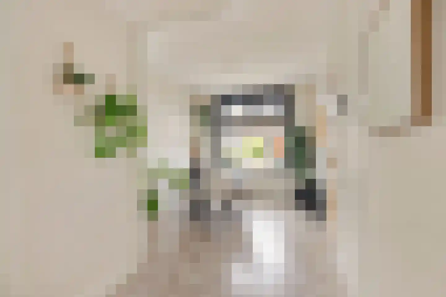 Zandvoortweg 197 Baarn thumbnail 6