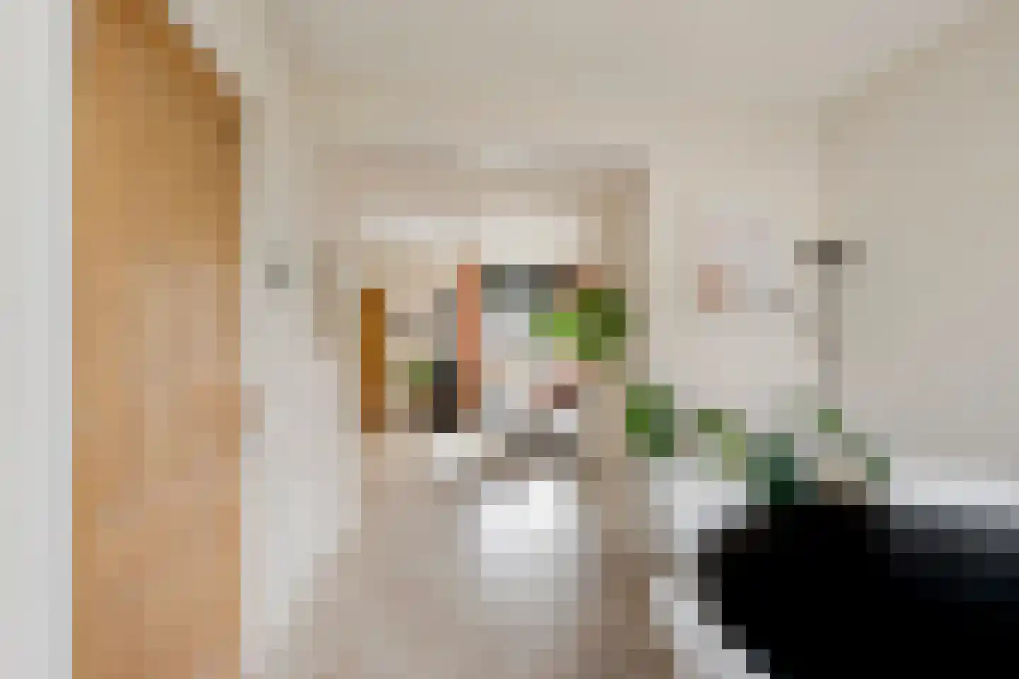Zandvoortweg 197 Baarn thumbnail 8