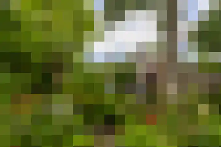 Zandvoortweg 215 Baarn thumbnail 27