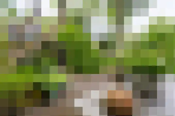 Zandvoortweg 215 Baarn thumbnail 30