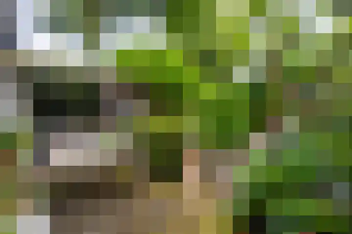 Zandvoortweg 215 Baarn thumbnail 31