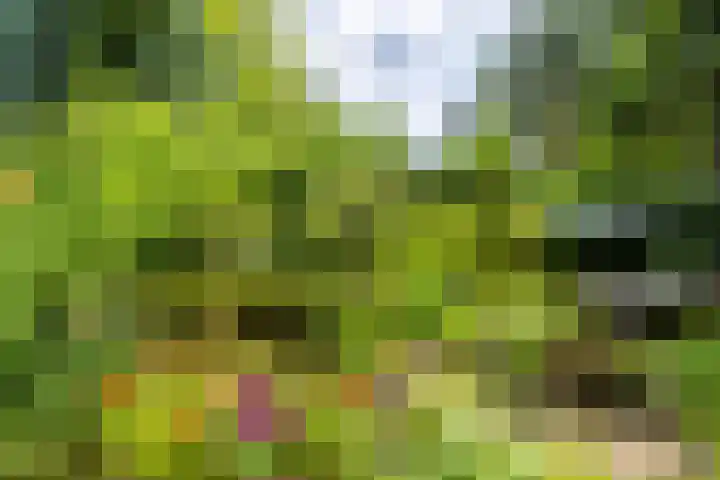 Zandvoortweg 215 Baarn thumbnail 33