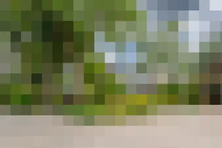 Zandvoortweg 215 Baarn thumbnail 34