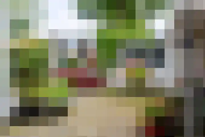Zandvoortweg 215 Baarn thumbnail 35