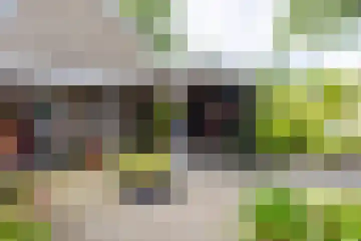 Zandvoortweg 215 Baarn thumbnail 36