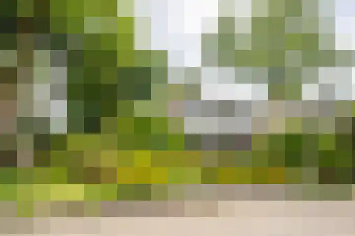Zandvoortweg 215 Baarn thumbnail 37