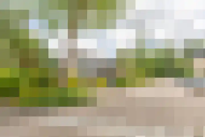 Zandvoortweg 215 Baarn thumbnail 40