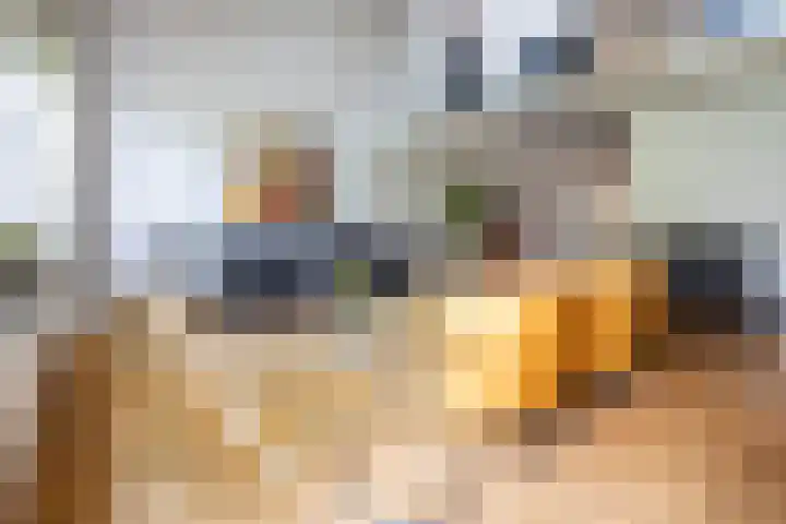 Zandvoortweg 215 Baarn thumbnail 6