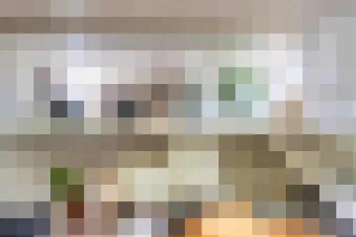 Zandvoortweg 215 Baarn thumbnail 8