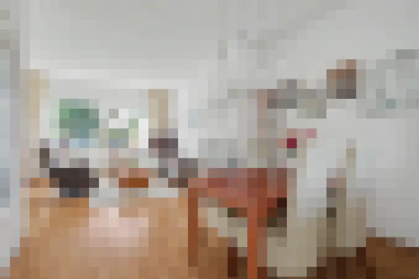 Zandvoortweg 232 Baarn thumbnail 7