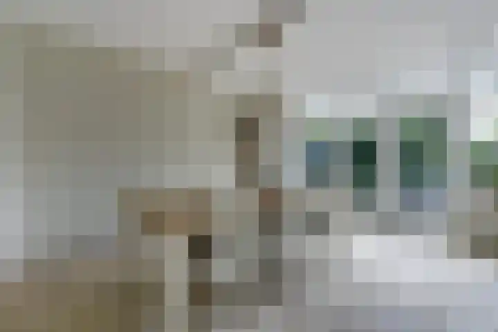 Zandvoortweg 71 B Baarn thumbnail 14
