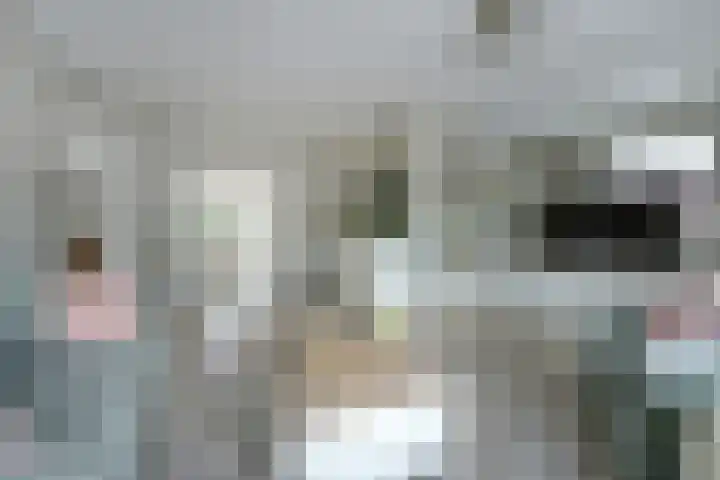 Zandvoortweg 71 B Baarn thumbnail 5