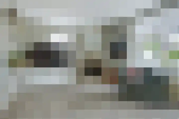 Zandvoortweg 71 B Baarn thumbnail 7