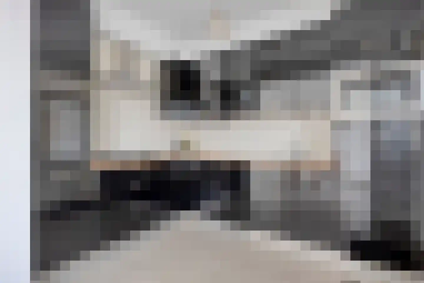 Zandvoortwijk 20 Abbekerk thumbnail 14