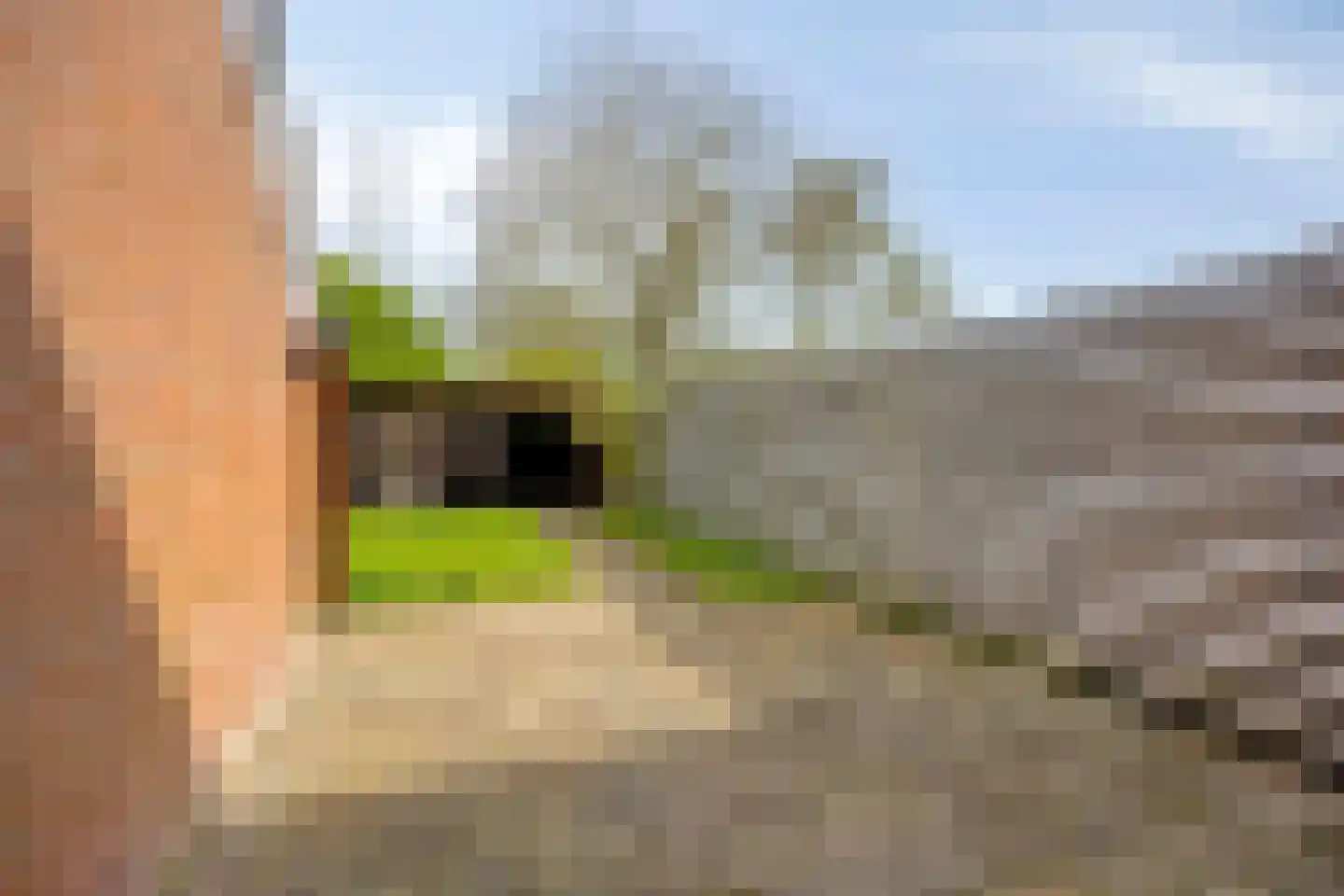 Zandvoortwijk 20 Abbekerk thumbnail 25