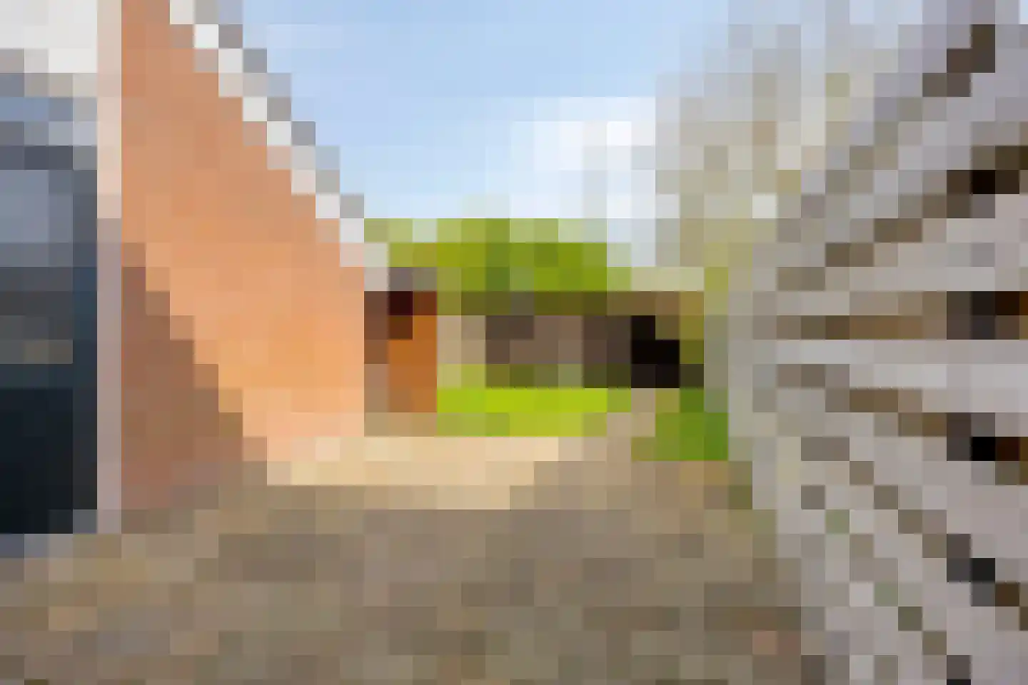 Zandvoortwijk 20 Abbekerk thumbnail 4
