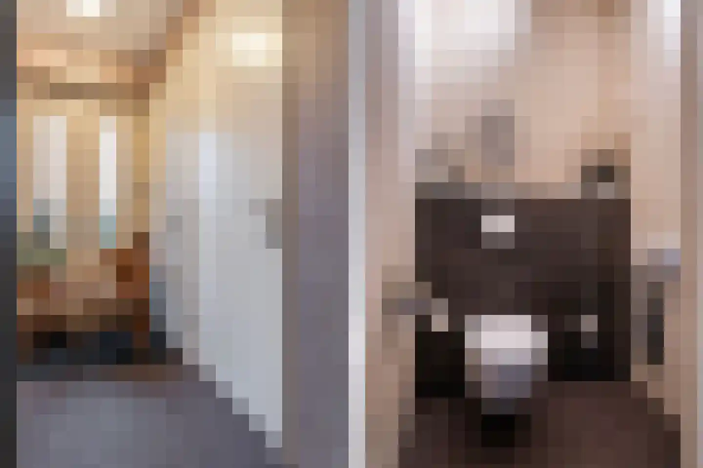 Zandweegbree 4 Wolvega thumbnail 14