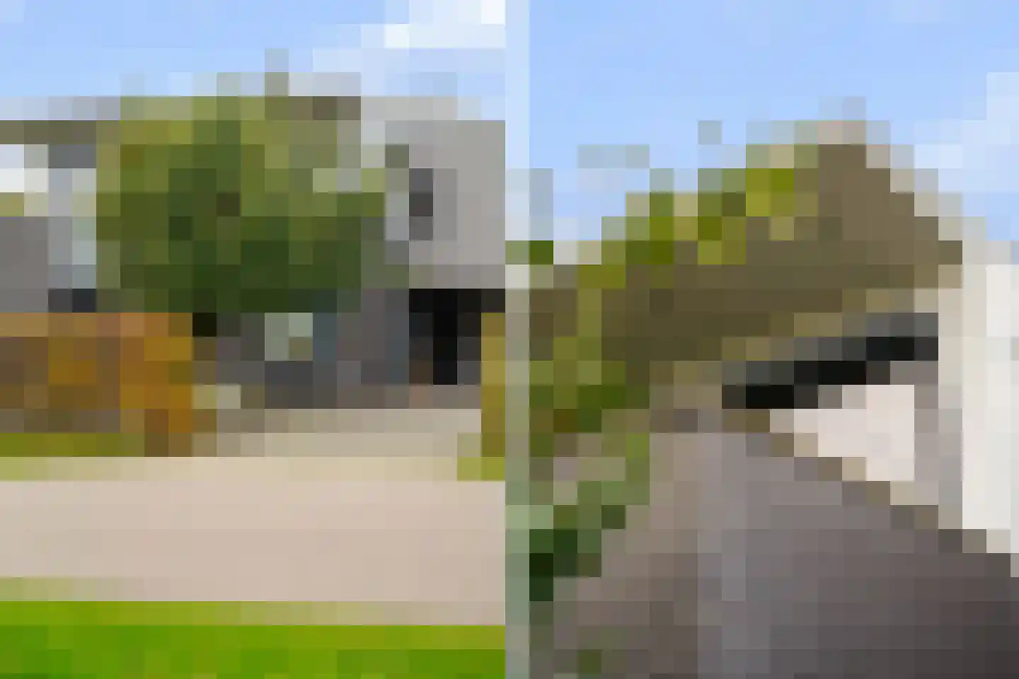 Zandweegbree 4 Wolvega thumbnail 26